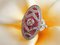 Ring 750 18Kt in Art Deco Style with Diamonds and Rubies 3