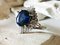 Platinum Ring with Sapphire and Diamonds 3.45 Karats 5