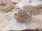 Ring aus 18 Karat Gelbgold in Beryllium Art Deco 1,5 Karat Rubin und Diamanten 6