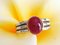 Ring in White Gold 14k with Unheated Ruby 4.3k and Diamond 6