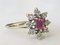 Daisy Ring in 750/1000 Gray Gold with a Ruby and Diamonds 9