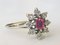 Daisy Ring in 750/1000 Gray Gold with a Ruby and Diamonds, Image 9