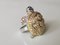 Anello Turtle in argento 925/1000 pavimentato con diamanti e zaffiri multicolore, Immagine 5