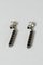 Silver and Ebony Earrings by Arvo Saarela, 1950s, Set of 2, Image 1