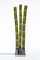 Lampada in bambù di Diego Feurer, Immagine 6