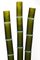 Lámpara de vidrio de bambú de Diego Feurer, Imagen 3
