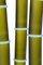 Lampada in bambù di Diego Feurer, Immagine 4