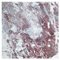 Quadratische Beistelltischplatte aus Rotem Marmor Weiß Lackierten Holzfuß Handgefertigt von Cupioli 2