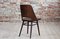 Beech Veneer Dining Chairs by Oswald Haerdtl for TON, 1950s, Set of 4, Image 8