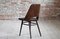 Beech Veneer Dining Chairs by Oswald Haerdtl for TON, 1950s, Set of 4, Image 15