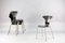 Chaises de Salon Moskito 3105 Mid-Century par Arne Jacobsen pour Fritz Hansen, Set de 6 8