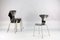 Mid-Century Moskito 3105 Dining Chairs by Arne Jacobsen for Fritz Hansen, Set of 6 8