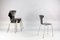 Chaises de Salon Moskito 3105 Mid-Century par Arne Jacobsen pour Fritz Hansen, Set de 6 16
