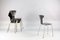 Mid-Century Moskito 3105 Dining Chairs by Arne Jacobsen for Fritz Hansen, Set of 6, Image 16