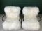 Bentwood and White Sheepskin Model WH237 Armchairs by Jindřich Halabala, 1940s, Set of 2, Immagine 6