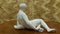 Art Deco Ceramic Sculpture Nude Sitting Woman, 1940s 2