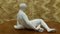 Scultura Art Déco donna in ceramica con seduta nuda, anni '40, Immagine 2