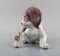 Figure in Glazed Porcelain Puppy and Snail from Lladro, Spain, 1980s 3