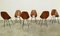 Medea Chairs by Vittorio Nobili for Tagliabue, 1950s, Set of 6, Image 4