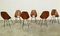 Medea Chairs by Vittorio Nobili for Tagliabue, 1950s, Set of 6, Immagine 4