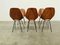 Medea Chairs by Vittorio Nobili for Tagliabue, 1950s, Set of 6, Image 3