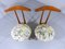 Bed or Dressing-Room Side Chairs & Valets in One, 1950s, Set of 2 3