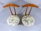 Bed or Dressing-Room Side Chairs & Valets in One, 1950s, Set of 2, Image 3
