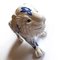 Vintage Lion Piggy Bank, Image 4