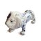 Vintage Lion Piggy Bank, Image 1