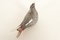 Petit Oiseau en Verre de Murano, 1950s 5