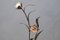 Large Golden Flower Floor Lamp Attributed to Maison Jansen, 1960s 7