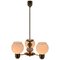 Mid-Century Chandelier from Kamenicky Senov, 1960s 1