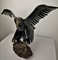 Eagle Sculpture by J. van den Heuvel 5