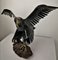 Sculpture Eagle par J. van den Heuvel 5