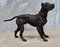 Antique Bronze Great Dane Sculpture, 1920s 6