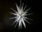 Sputnik Deckenlampe aus Muranoglas, 2000er 2