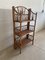 Mid-Century French Bamboo and Rattan Shelf, 1950s 2