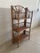 Mid-Century French Bamboo and Rattan Shelf, 1950s 4