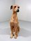 Large Italian Terracotta Greyhound Sculpture, 1960s, Image 2