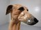Large Italian Terracotta Greyhound Sculpture, 1960s, Image 12