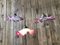 Vintage Pink Ceiling Lamps, Set of 3 2