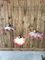 Vintage Pink Ceiling Lamps, Set of 3 1