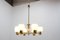 Mid-Century Chandelier from Kamenicky Senov, 1960s 5