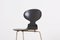 Chaises de Salon Ant par Arne Jacobsen pour Fritz Hansen, Danemark, 1950s, Set de 3 14