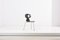 Sillas de comedor Ant de Arne Jacobsen para Fritz Hansen, Denmark, años 50. Juego de 3, Imagen 3