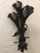 Antique Wrought Iron Sconce 1