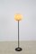 Mid-Century Floor Lamp, 1960s, Immagine 1