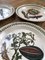 The Botanic Garden Plates, 1970s, Set of 6 12