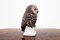 Owl Figurine from Bing & Grondahl, 1970s 2