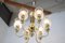 Mid-Century Chandelier from Kamenicky Senov, 1950s 4